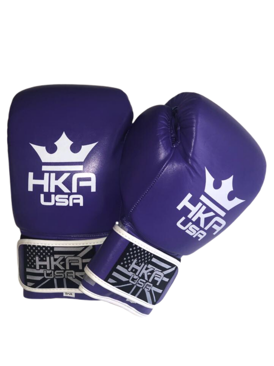 HKA Boxing Gloves Prospect Line- PURPLE